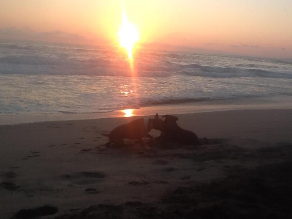 Hostal Caparazona Puerto Escondido  Zewnętrze zdjęcie